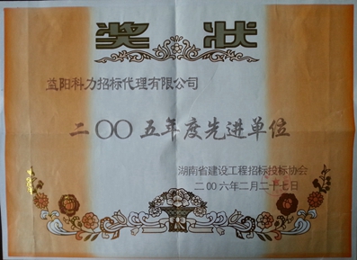 2005年先进代理机构